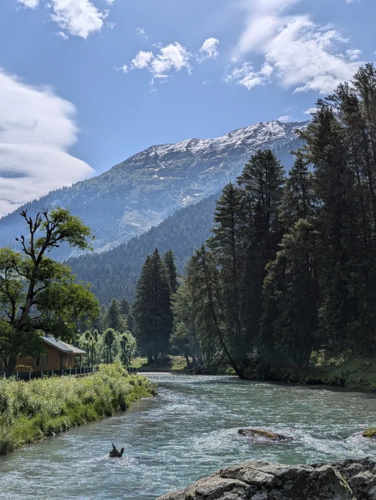Aru Valley wooden cabin on stream