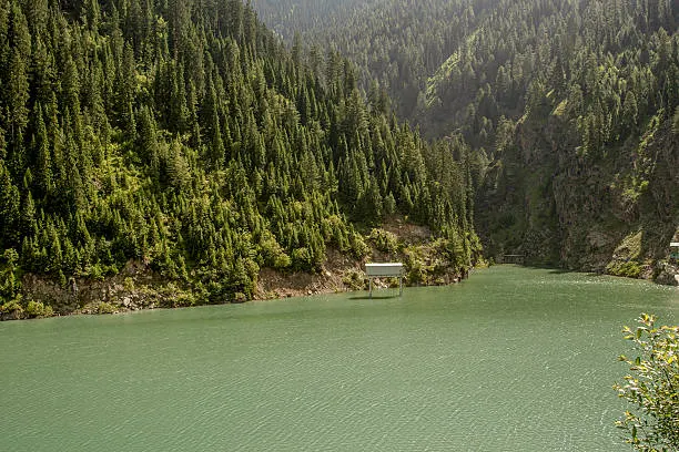 Emerald lake surrounded by pines