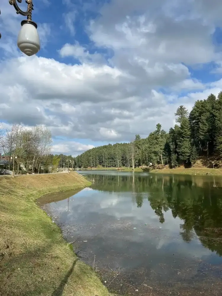 Nilnag lake in pine forest