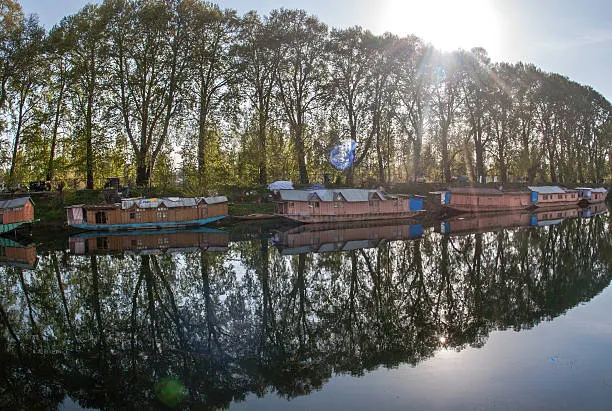 Traditional carved wooden houseboats on mirror-still Dal Lake reflecting trees
