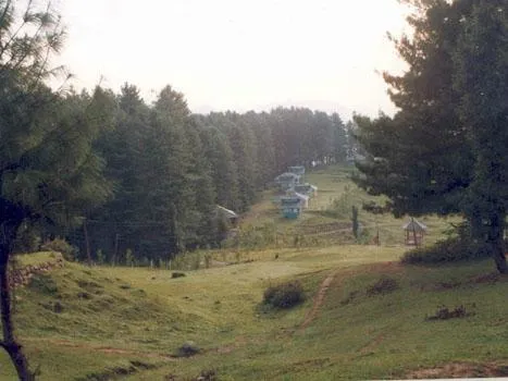 Patnitop pine chalets